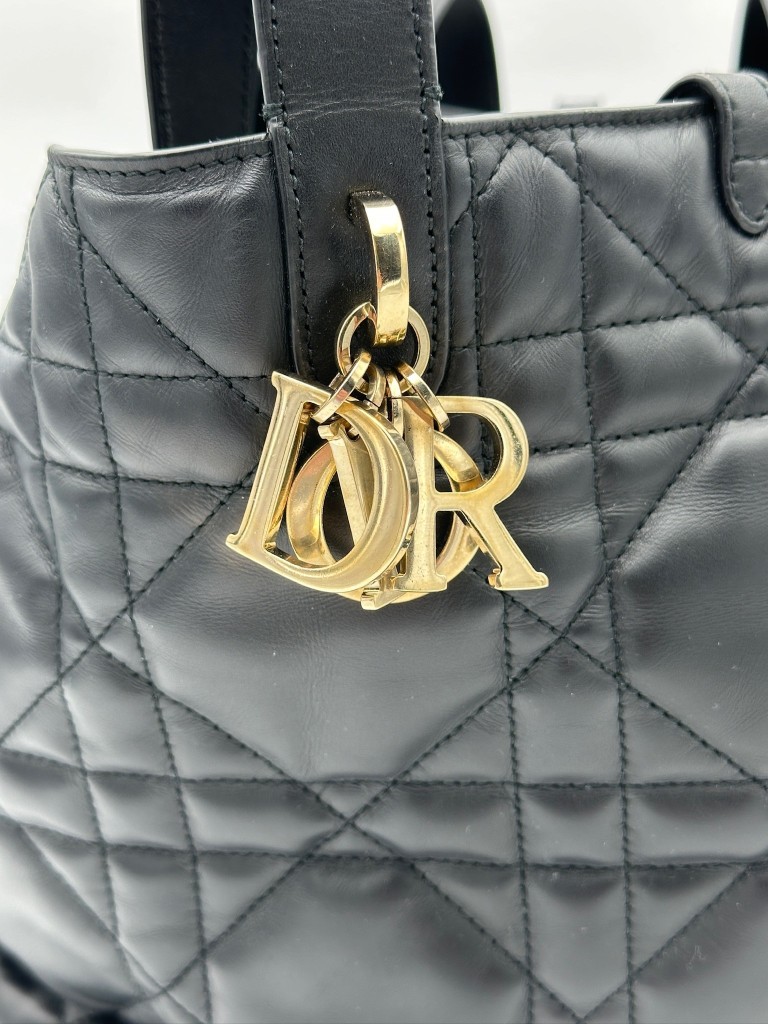Toujours Large bag