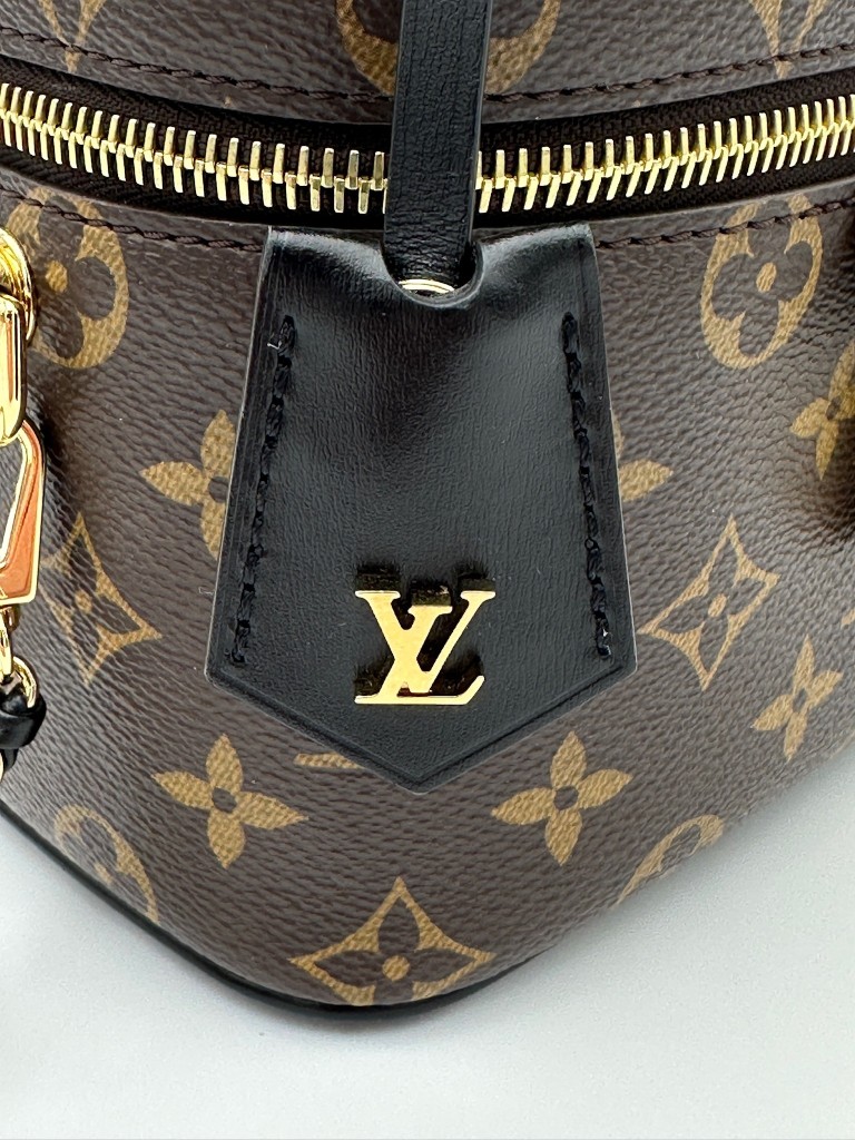 louis-vuitton-vanity-bag