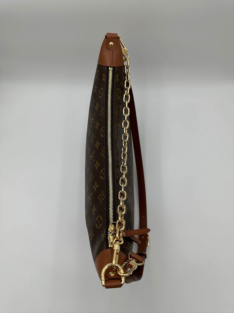 LOUIS VUITTON Reverse Monogram Loop Hobo bag