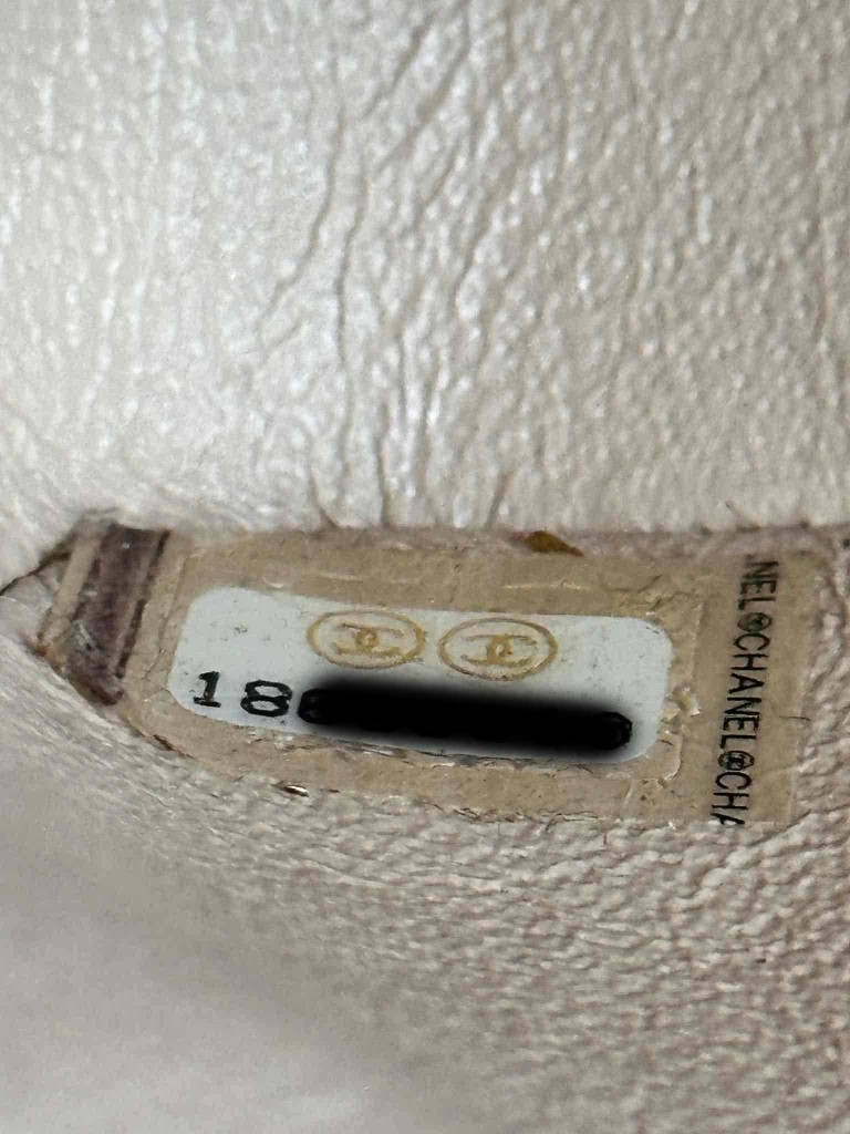 Chanel Classic Medium Double Flap bag