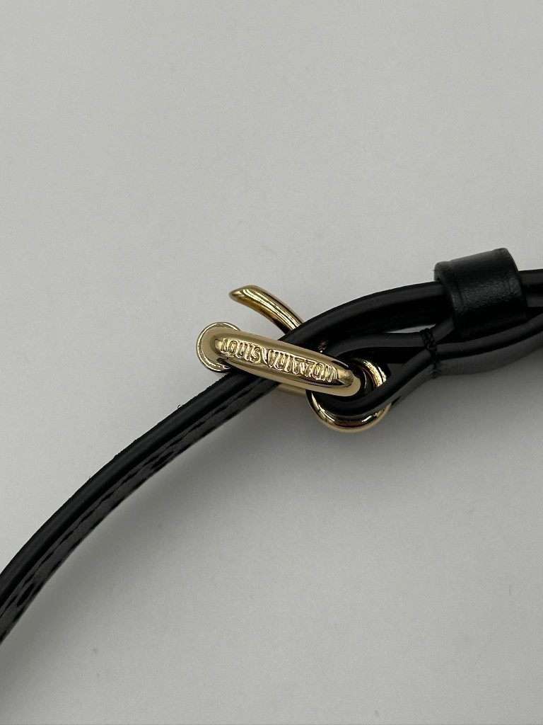 LOUIS VUITTON pouch side trunk PM bag
