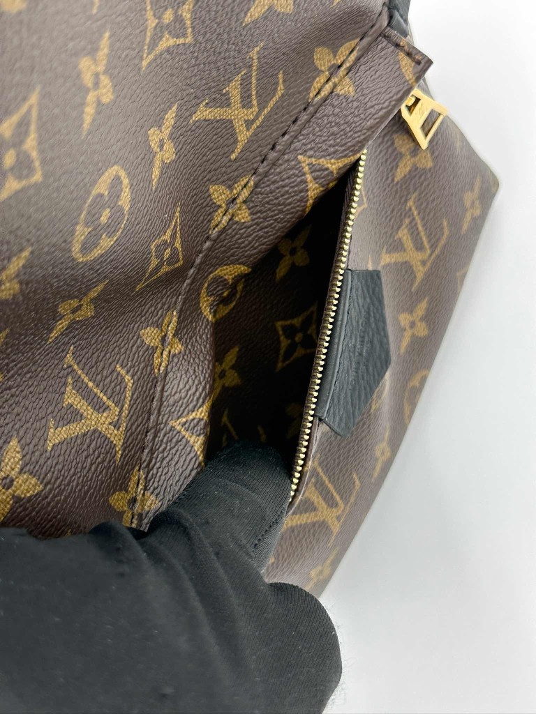 LOUIS VUITTON Palm Springs PM backpack
