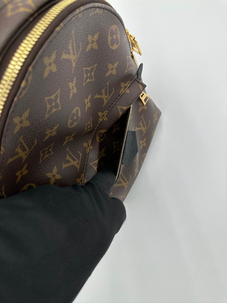 LOUIS VUITTON Palm Springs PM backpack
