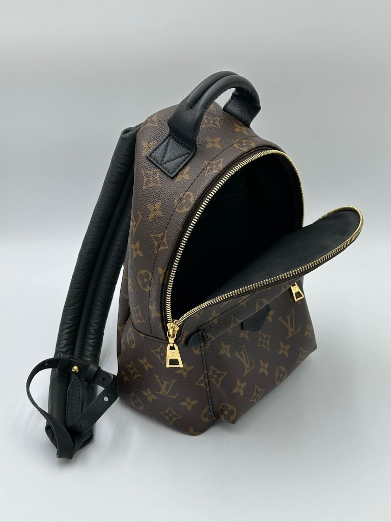 LOUIS VUITTON Palm Springs PM backpack