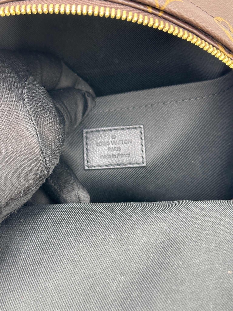 LOUIS VUITTON Palm Springs PM backpack
