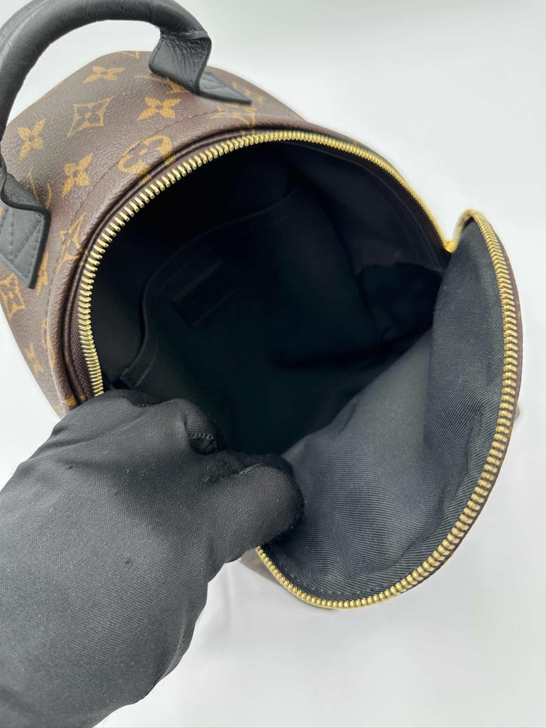 LOUIS VUITTON Palm Springs PM backpack