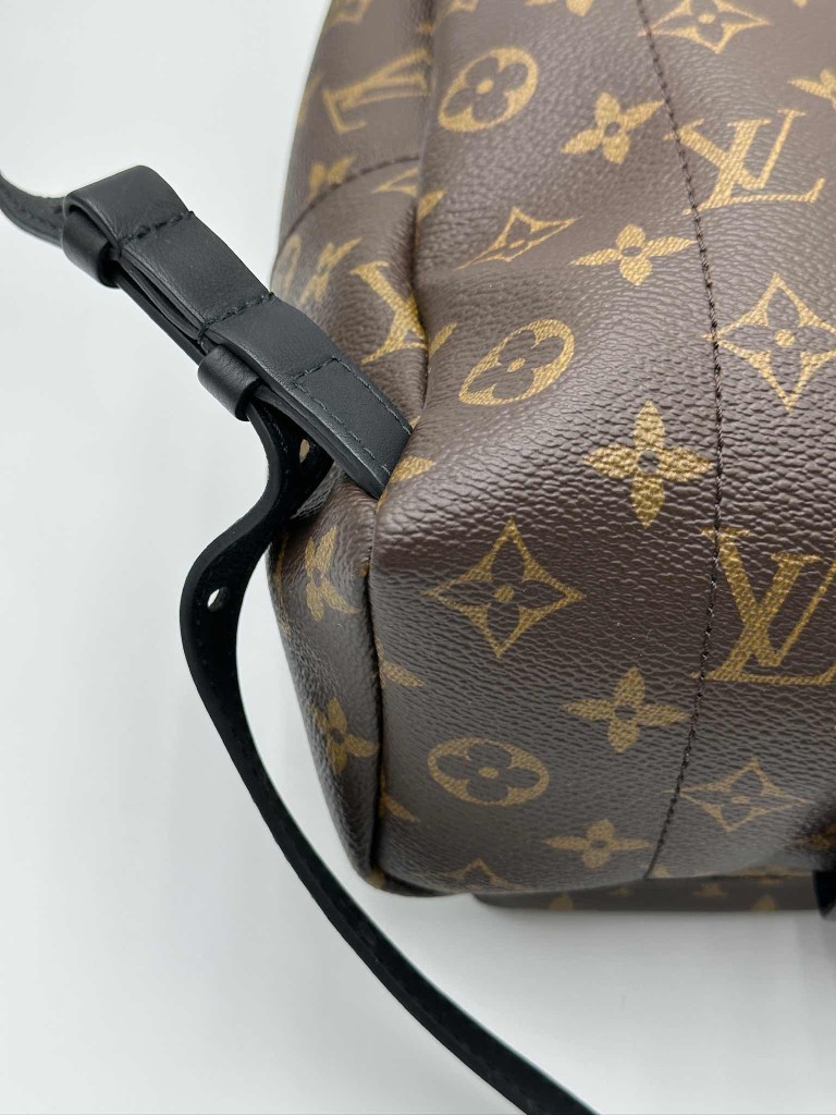 LOUIS VUITTON Palm Springs PM backpack