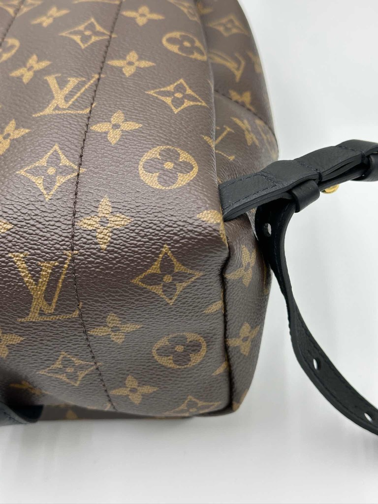 LOUIS VUITTON Palm Springs PM backpack