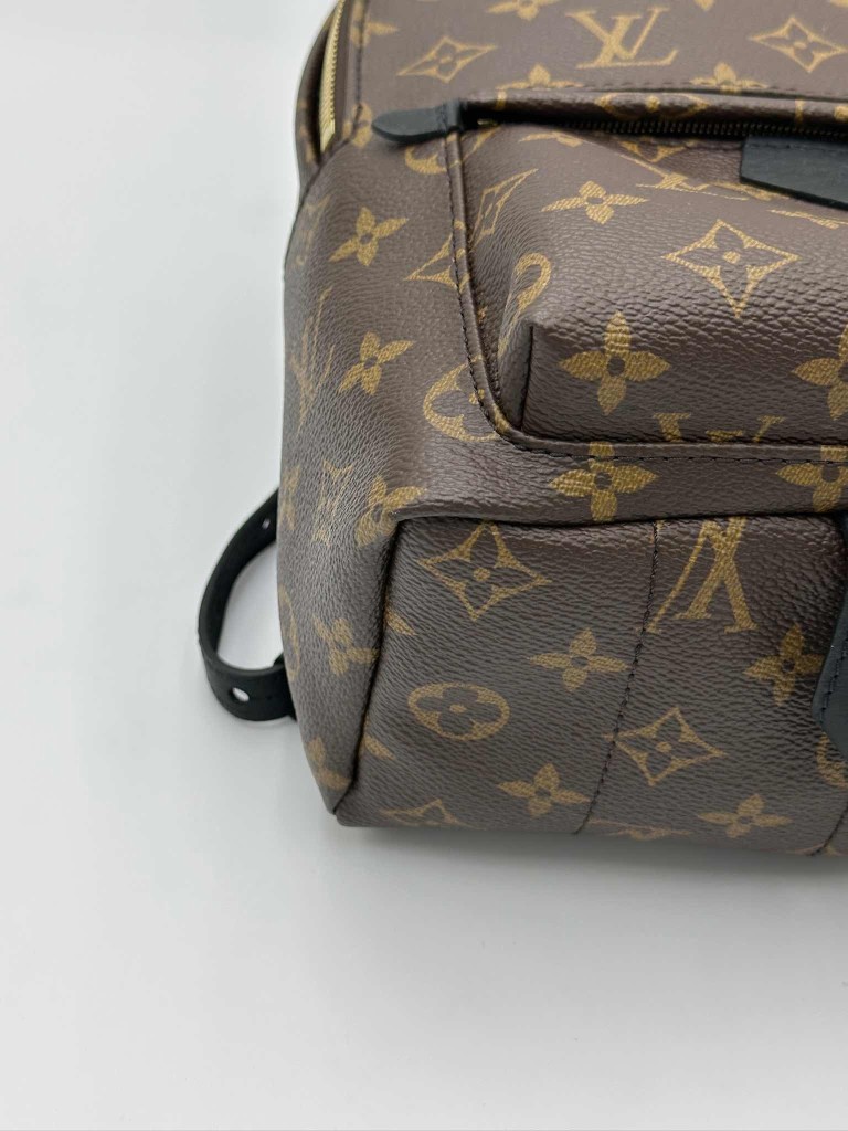 LOUIS VUITTON Palm Springs PM backpack