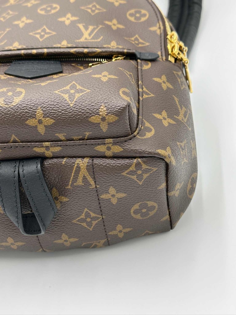 LOUIS VUITTON Palm Springs PM backpack