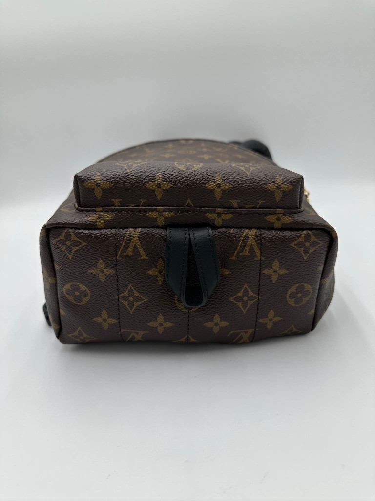 LOUIS VUITTON Palm Springs PM backpack