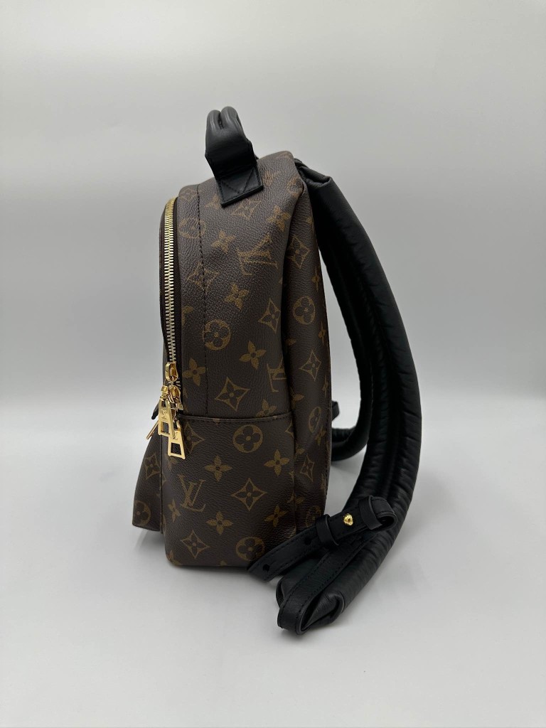 LOUIS VUITTON Palm Springs PM backpack