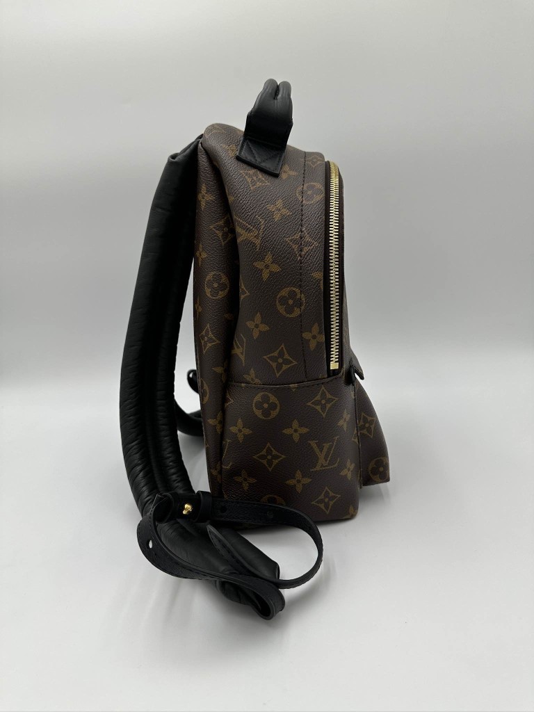 LOUIS VUITTON Palm Springs PM backpack