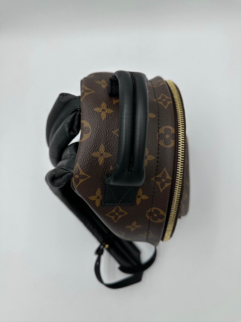 LOUIS VUITTON Palm Springs PM backpack