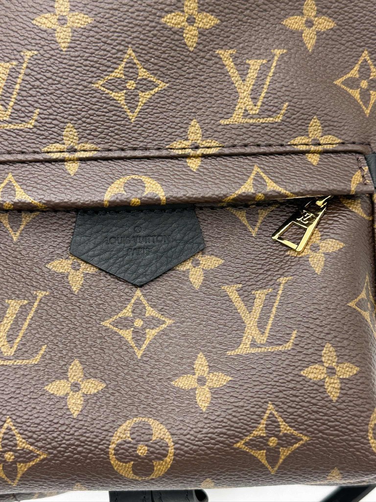 LOUIS VUITTON Palm Springs PM backpack