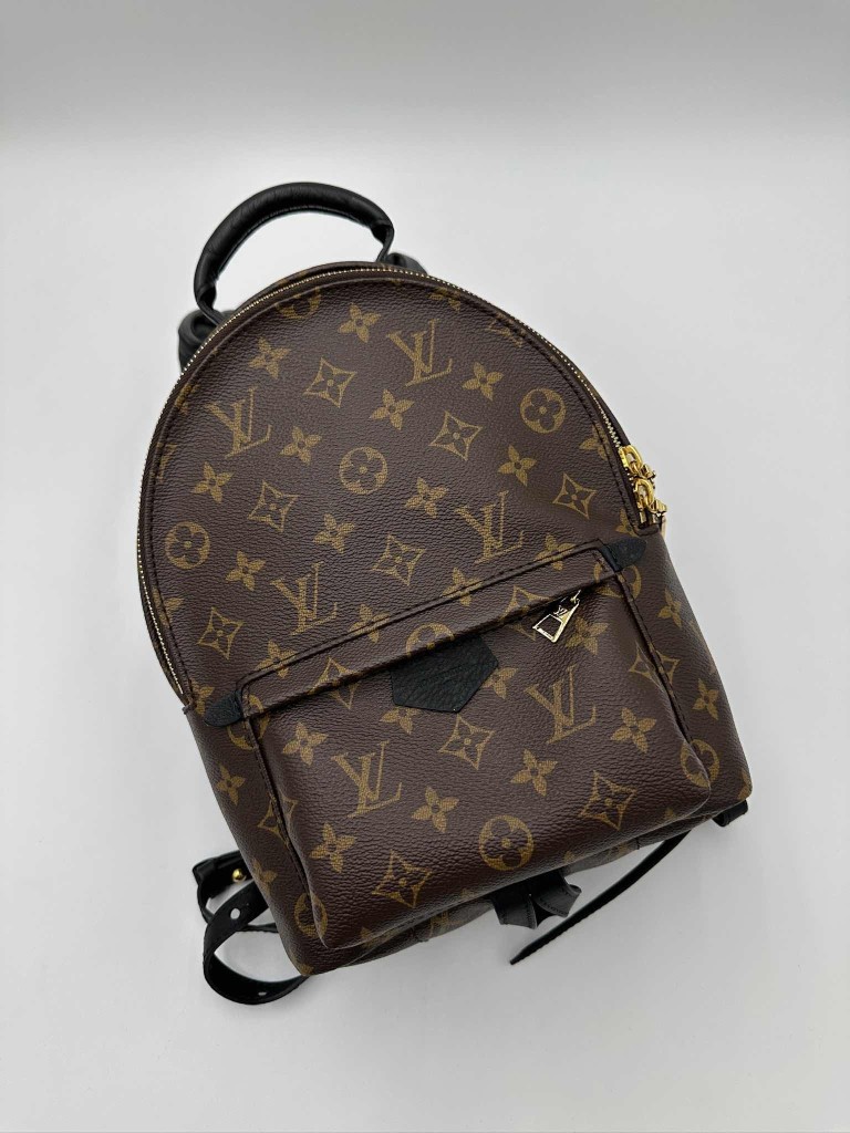 LOUIS VUITTON Palm Springs PM backpack