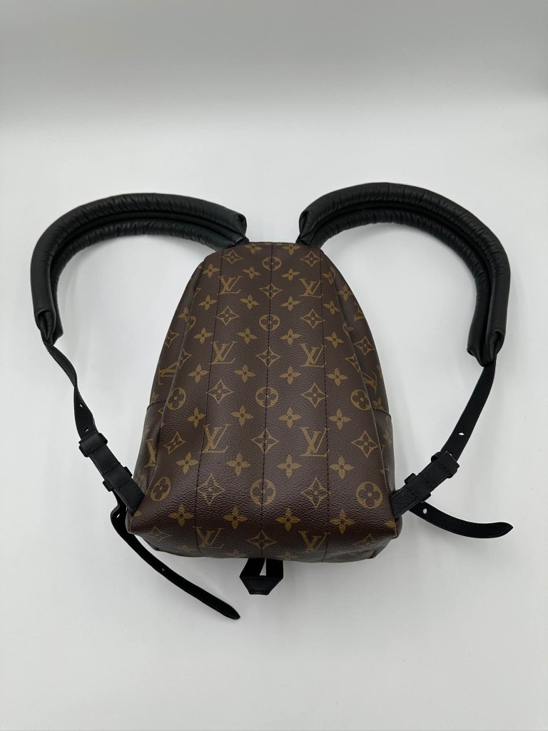 LOUIS VUITTON Palm Springs PM backpack