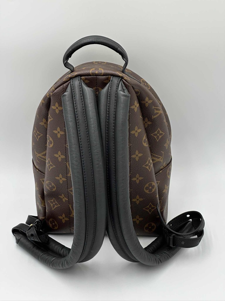 LOUIS VUITTON Palm Springs PM backpack