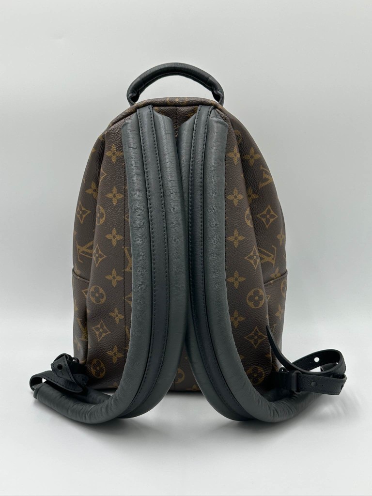 LOUIS VUITTON Palm Springs PM backpack