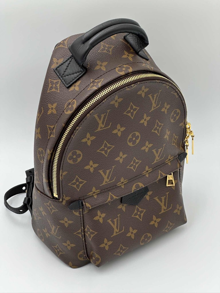 LOUIS VUITTON Palm Springs PM backpack