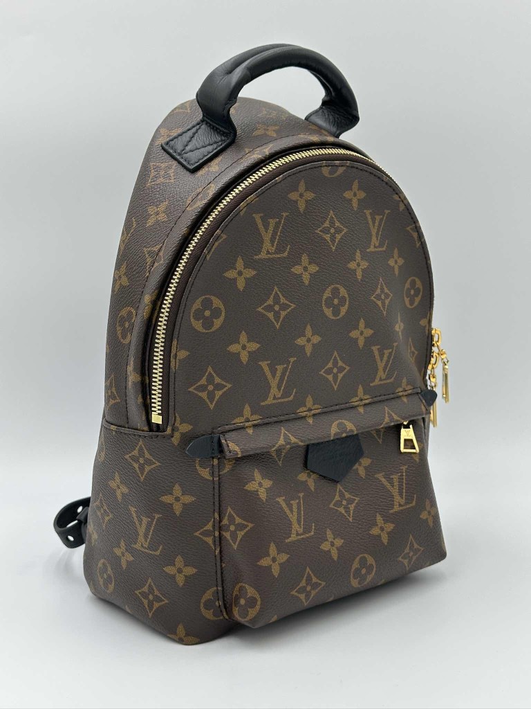 LOUIS VUITTON Palm Springs PM backpack