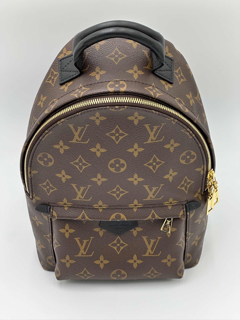 LOUIS VUITTON Palm Springs PM backpack