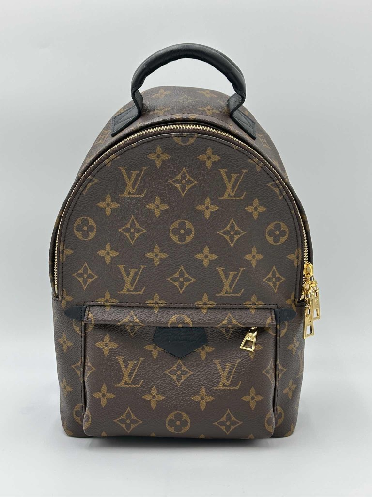 LOUIS VUITTON Palm Springs PM backpack