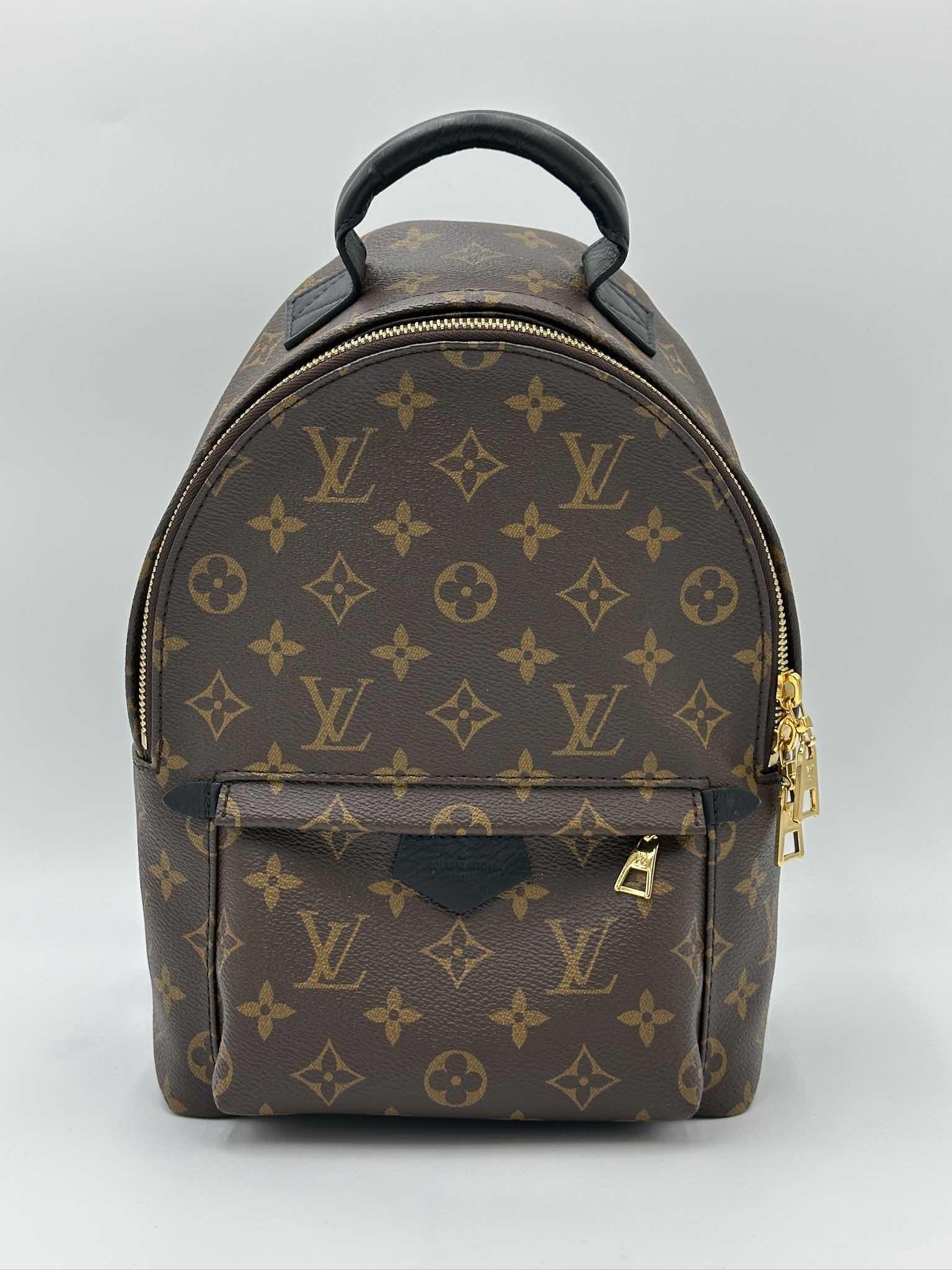 LOUIS VUITTON Palm Springs PM backpack