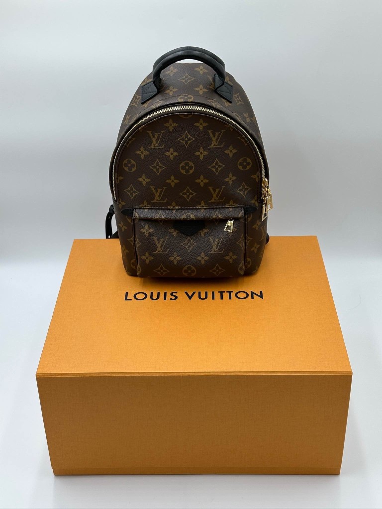 LOUIS VUITTON Palm Springs PM backpack