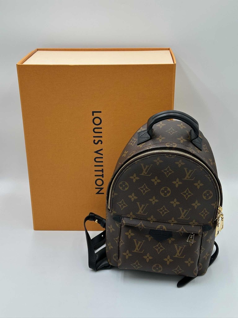 LOUIS VUITTON Palm Springs PM backpack