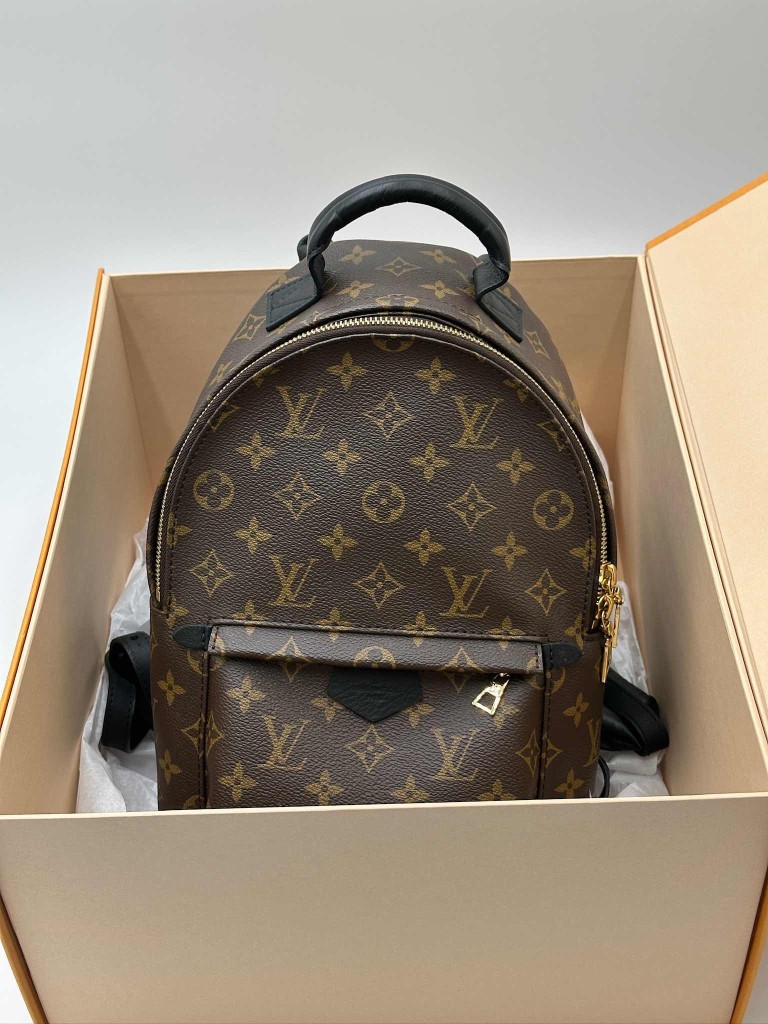 LOUIS VUITTON Palm Springs PM backpack