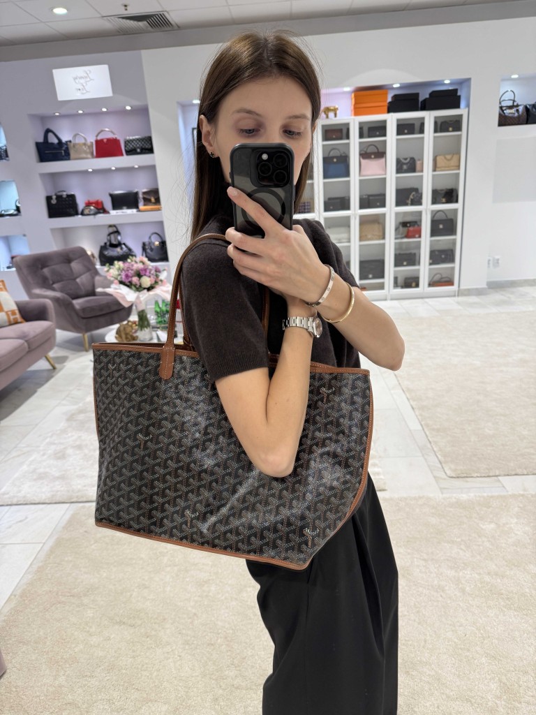 Goyard Anjou PM bag