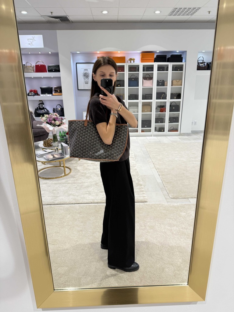 Goyard Anjou PM bag