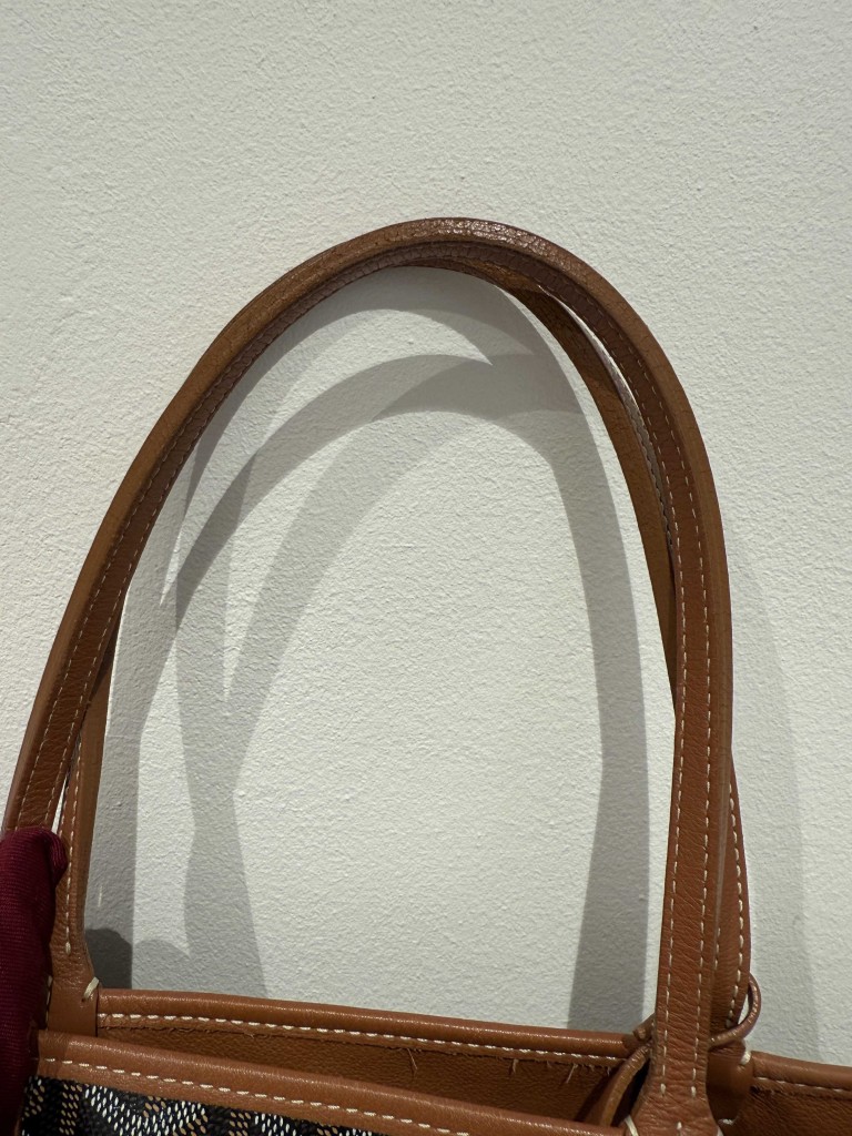 Goyard Anjou PM bag