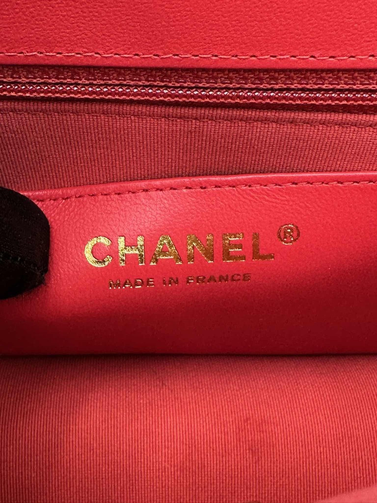 Chanel Classic Coco Pins Mini Flap bag