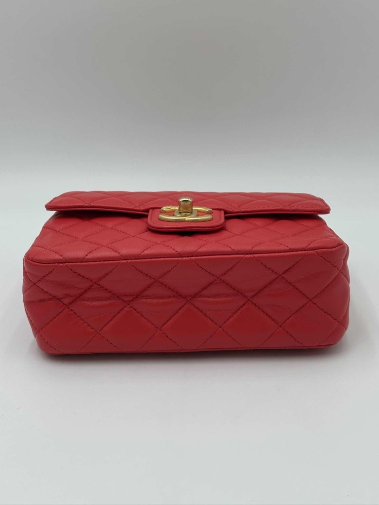 Chanel Classic Coco Pins Mini Flap bag