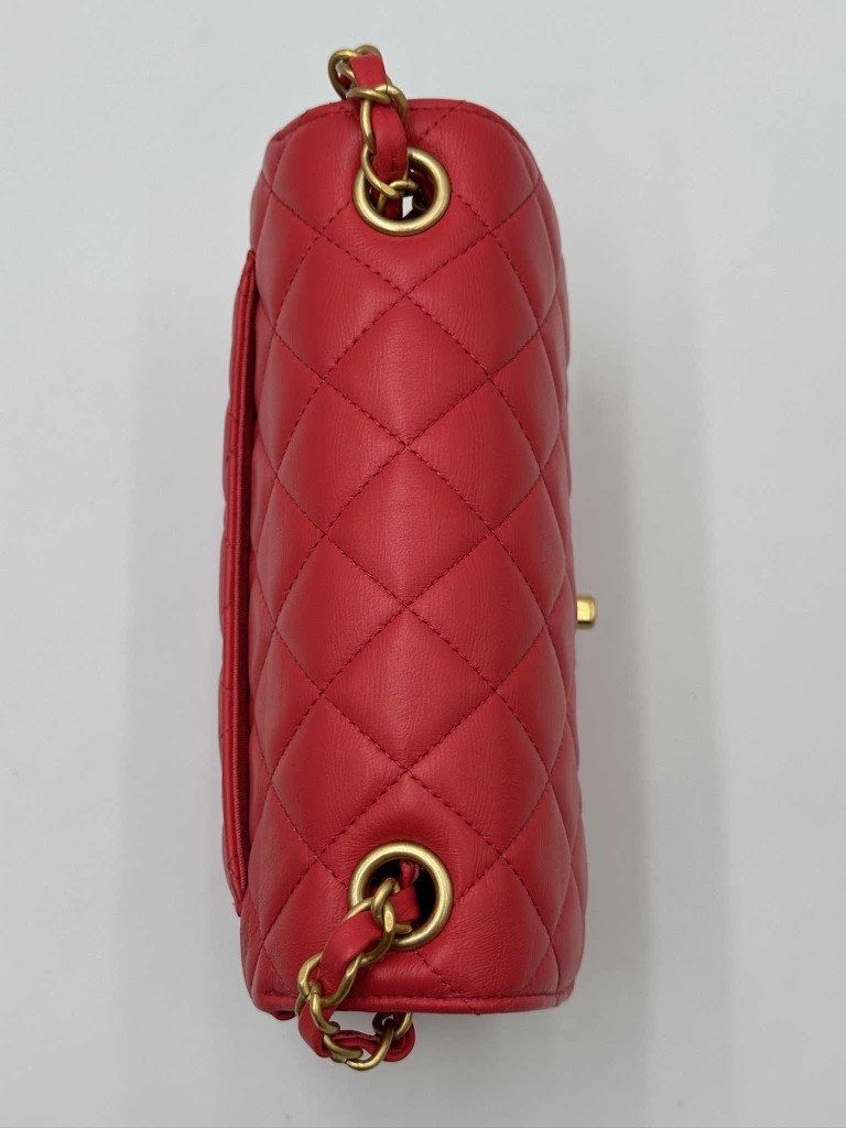 Chanel Classic Coco Pins Mini Flap bag