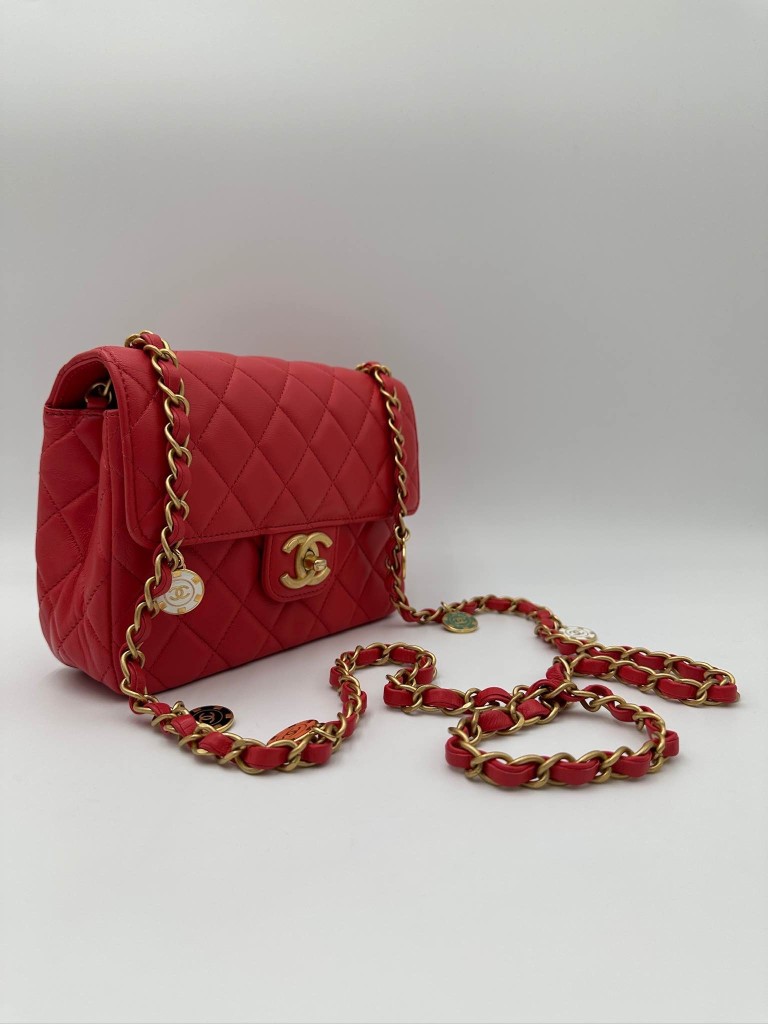 Chanel Classic Coco Pins Mini Flap bag