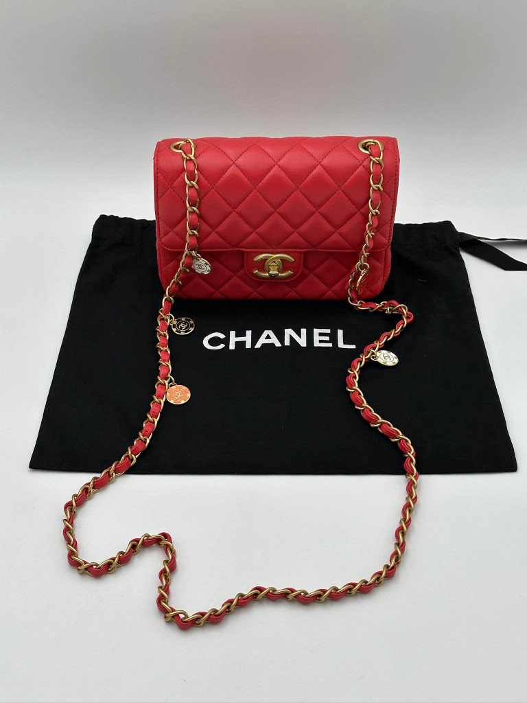 Chanel Classic Coco Pins Mini Flap bag