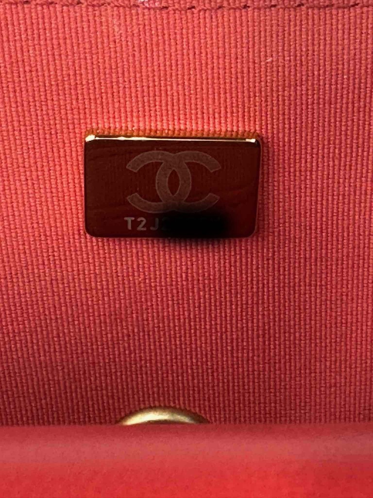 Chanel Classic Coco Pins Mini Flap torebka