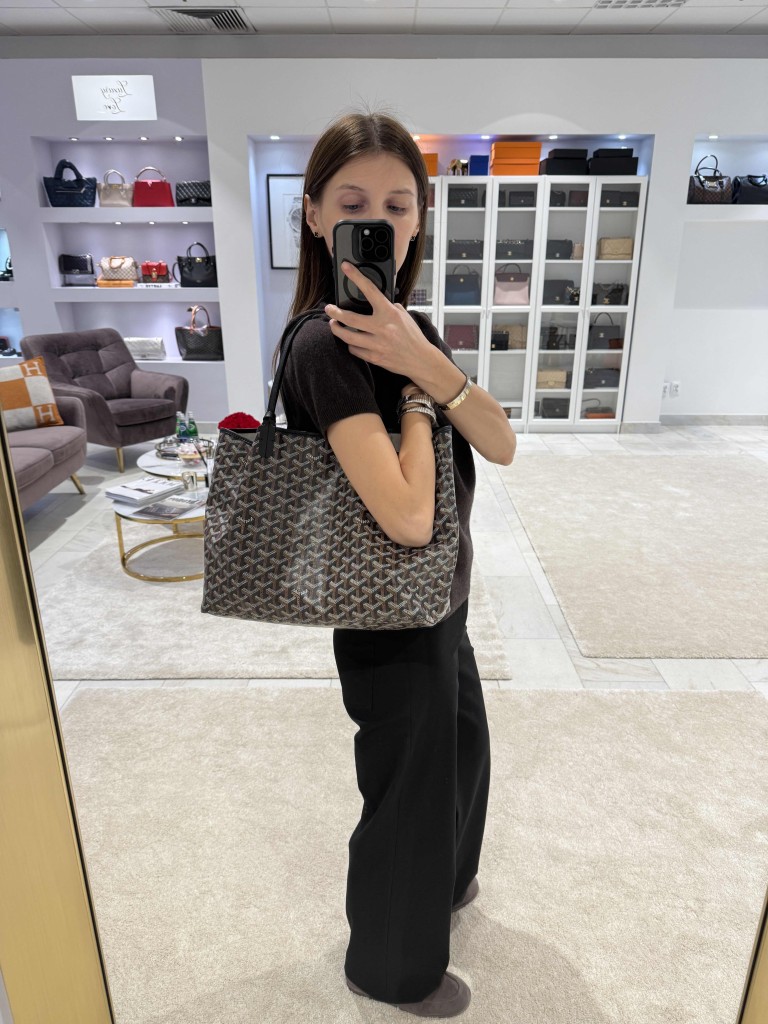 Goyard Saint Louis PM bag