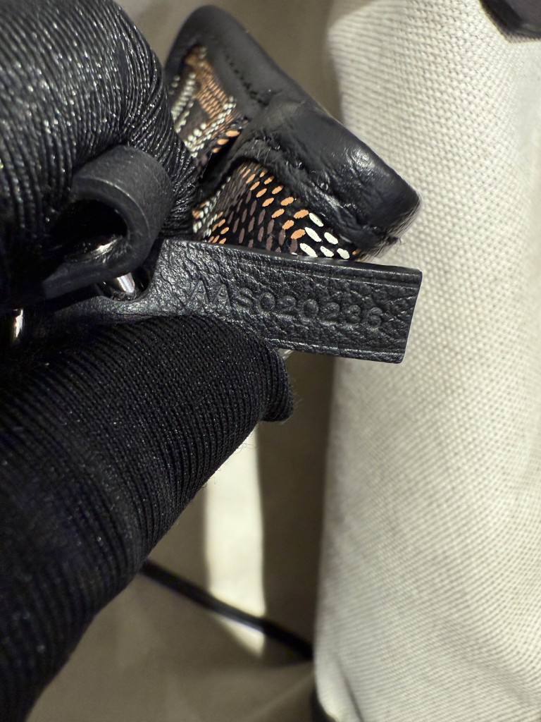 Goyard Saint Louis PM bag