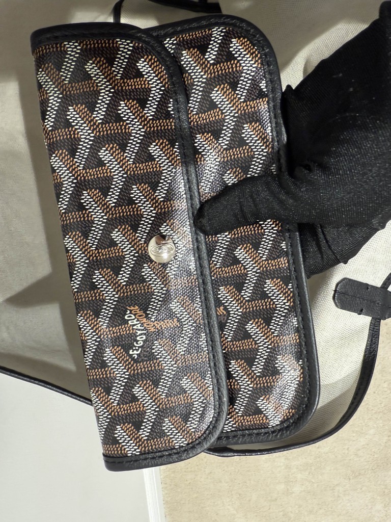 Goyard Saint Louis PM bag