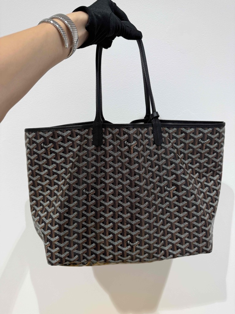 Goyard Saint Louis PM bag
