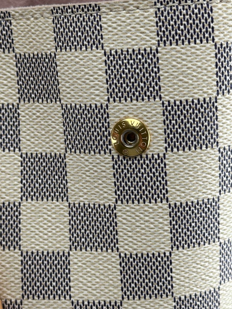 Louis Vuitton Propriano bag