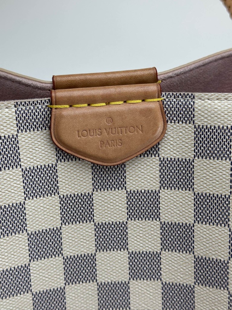 Louis Vuitton Propriano bag