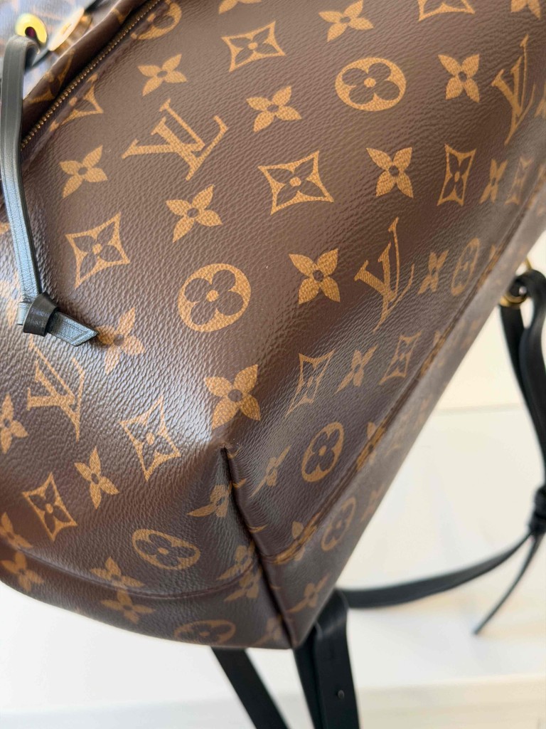 Louis Vuitton Montsouris PM backpack