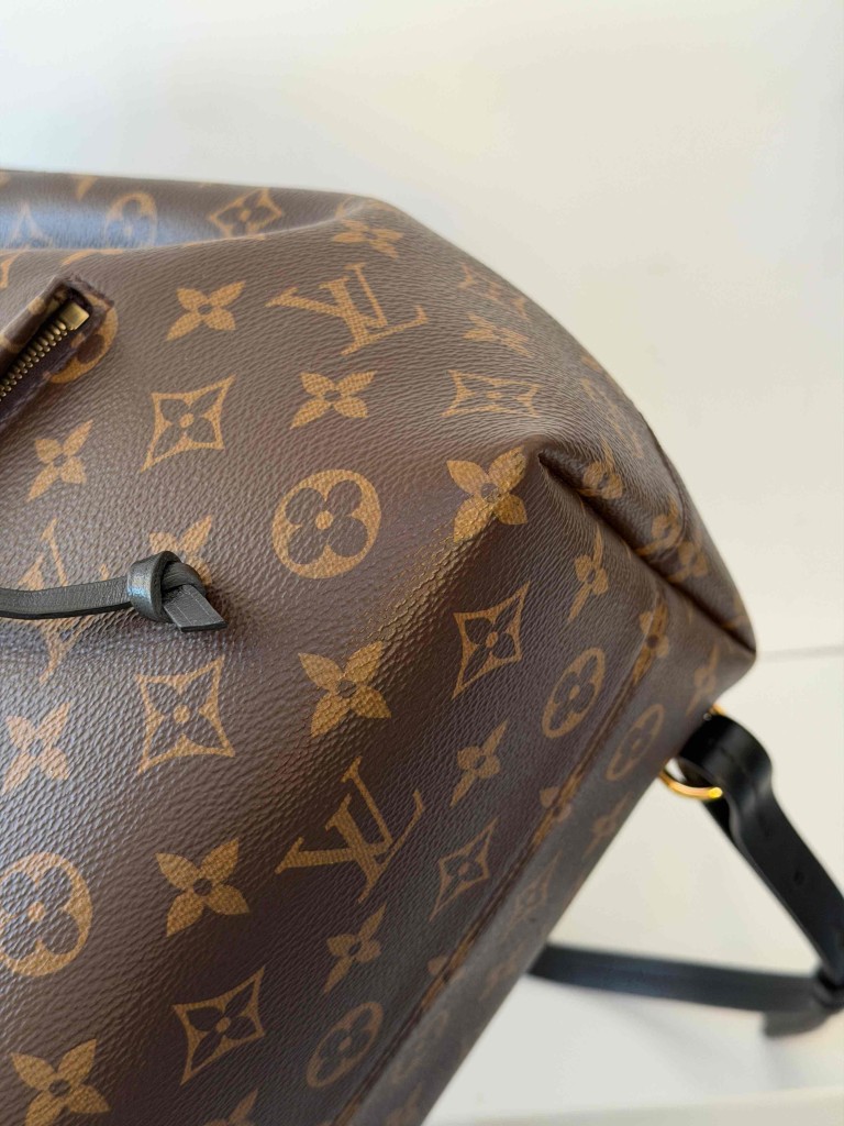 Louis Vuitton Montsouris PM backpack