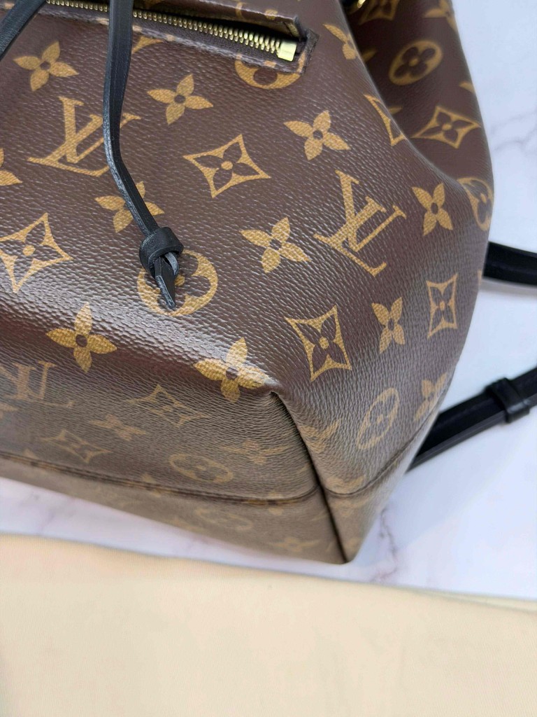 Louis Vuitton Montsouris PM backpack