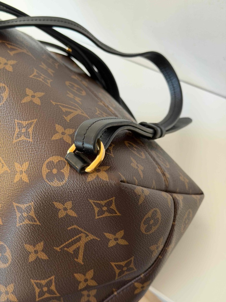 Louis Vuitton Montsouris PM backpack